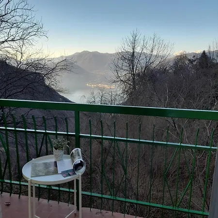 L'ortensia Pisogne